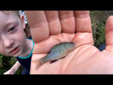 FISHING JAPANESE STYLE - Samurai castles!!! (WT Part 4)