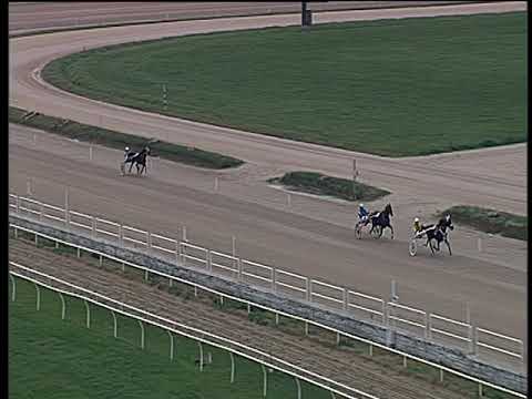 Trotto 04/11/2018 - prova di qualifica