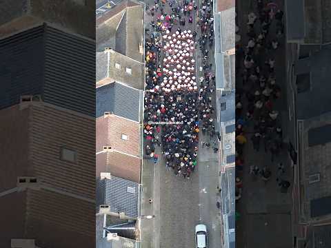 GILLES DE BINCHE. #shortvideo #carnival #carnaval #binche #gillê #shortvideo #shorts #belgium