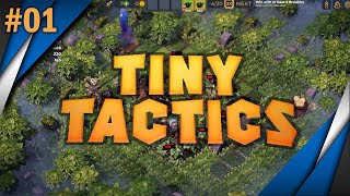 Tiny Tactics - A-Mazing Tower Defense Auto Battler - Gameplay Levels 00-02A Spring