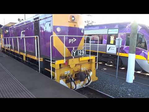 Vline Y129 With VN19 And N468 With Horn Show From leslie RS5T Horn