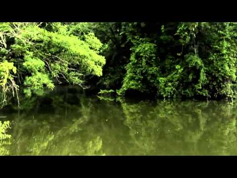 Stucky's Bridge Video 3