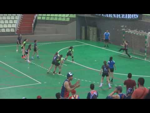 Handebol Los Bravos  Engenharíadas Paranaense 2016