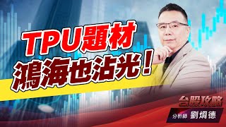 TPU題材，鴻海也沾光！｜台股攻略｜劉烱德 (圖)