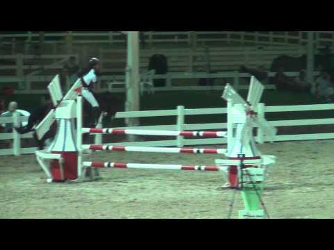 Sara Al Musallam - Windekind