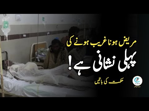 Words Of Wisdom|Hikmat Ki Batein|Wasif Ali Wasif Urdu Quotes |Best Aqwal e Zareen in Urdu