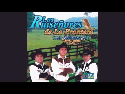 Los Ruiseñores de la frontera - Como olvidarme de ti 💕(álbum completo 2008