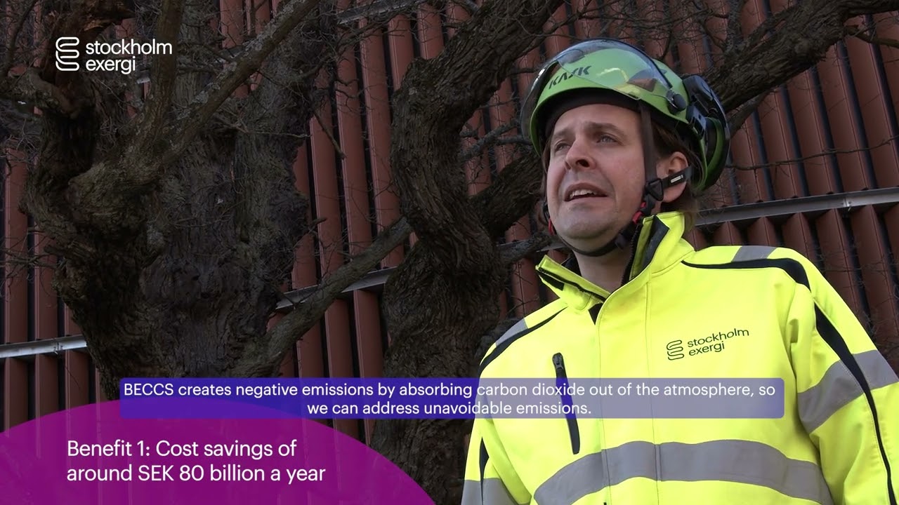 BECCS - how will it affect the Swedish economy?