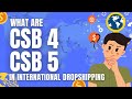 What Are CSB 4 And CSB 5 In International Dropshipping Diwali 2024 Dropsy