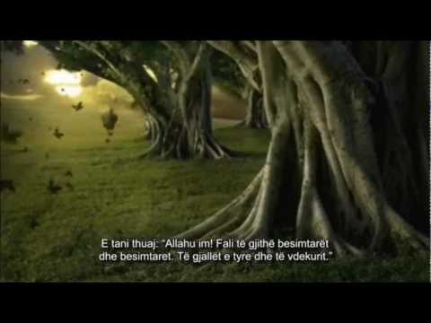 Shpërblimi për vizitën që ia bën të sëmurit - Shejh Nebil Ivedij