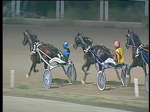 Trotto 26/08/2017 - 3ª corsa