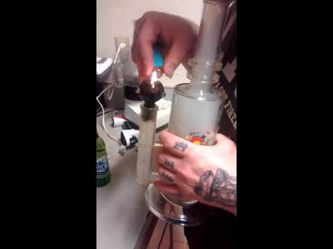 OGR Blackberry (Breeze Botanicles Ashland Or)