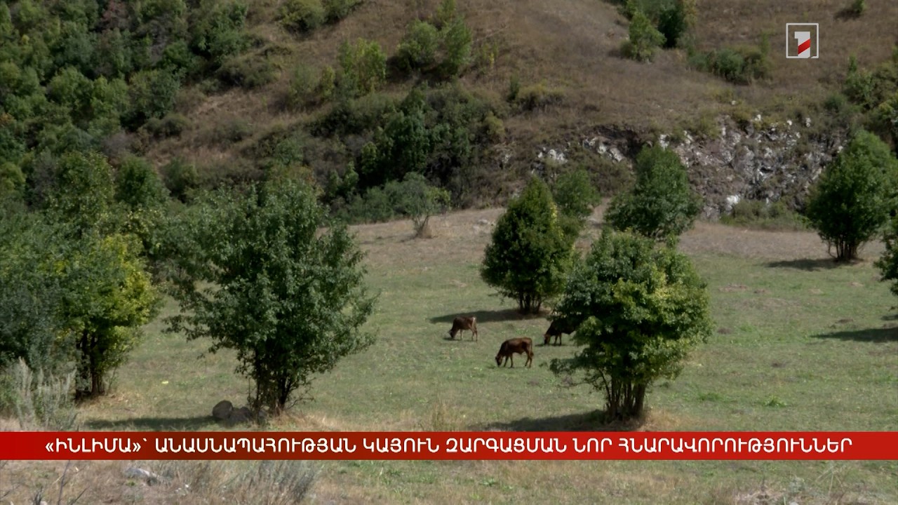 «ԻՆԼԻՄԱ»` անասնապահության կայուն զարգացման նոր հնարավորություններ