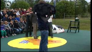 Doch it foar dyn doarp - Minnertsgea - 17/05/2011