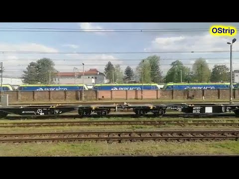 #Newag - 10 nowych Dragonów (ET43?) dla PKP Cargo #NowySącz #20220515