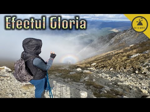 Varful Omu - traseu de la Cabana Piatra Arsa prin Transbucegi