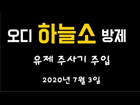 오디 하늘소 방제