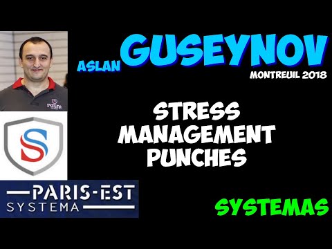 Systema Aslan GUSEYNOV stress management punches