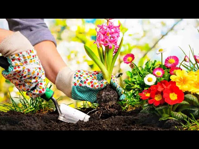 Садоводы переехали