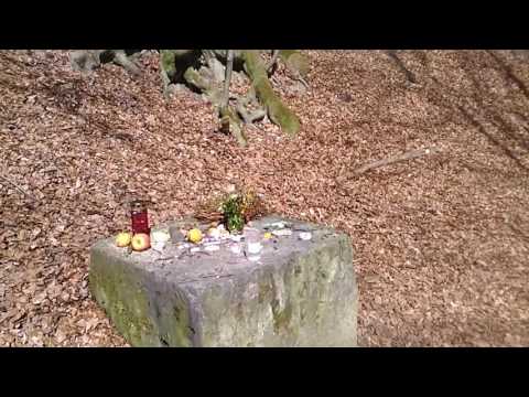 Apenteichquelle Winzenburg