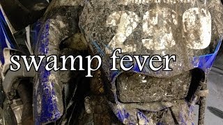 swamp fever