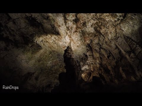Special tour of Postojna, Black and Pivca cave in Postojna, Slovenia