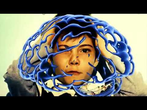 Spegni lo spreco accendi il cervello