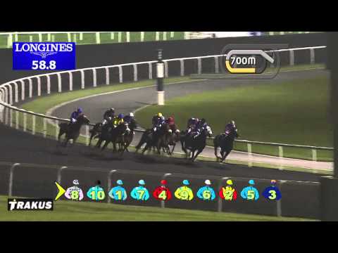 09.01.2014 Meydan (Dubai-UAE) 6.Race Al Maktoum Challenge R1 2014 - Group II 1.600 m