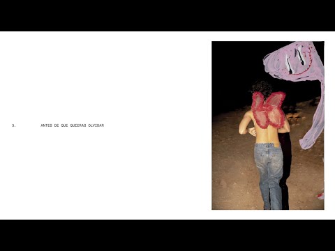 Antes De Que Quieras Olvidar - Guitarricadelafuente