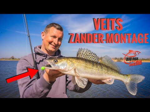 Auf Zander angeln mit Veit Wilde: Fangen mit der Cheburashka-Montage