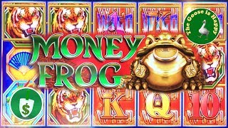 😄 Money Frog slot machine, bonus, big win