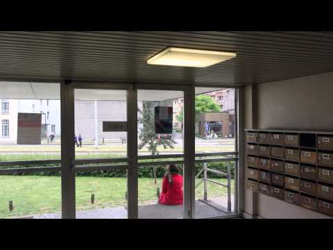 Hoog en droog? De Rabottorens - Kortfilm