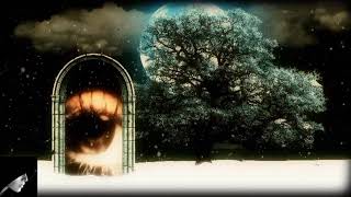 Minimal Compact - Nil Nil 1987 Vídeo Clip