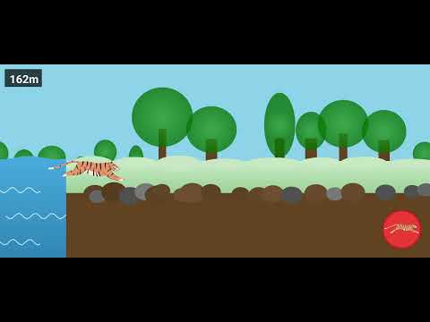 Forest Runner - Running Tiger