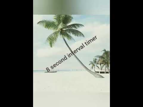 8 second interval timer with beep every 8 seconds for 30 minutes