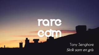 Tony Senghore - Skrik Som En Gris