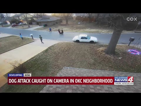 Vicious dog attack on group of teens in NW Oklahoma City caught on camera