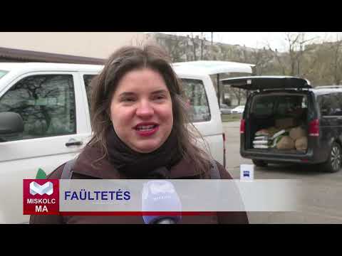 Videó előnézet
