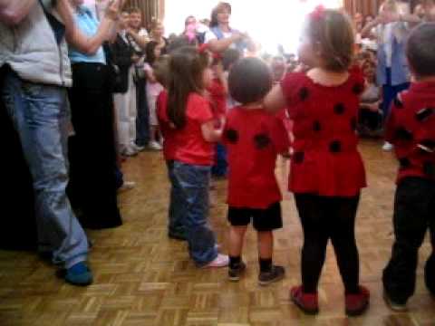 Marko bubamara u vrticu maj 2009