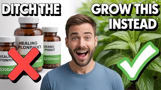 You Won't Believe these 10 Healing Plants Can REPLACE Your Expensive Supplements