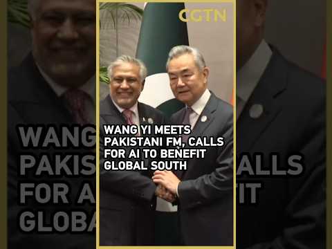 Wang Yi meets Pakistani FM, calls for AI to benefit Global South