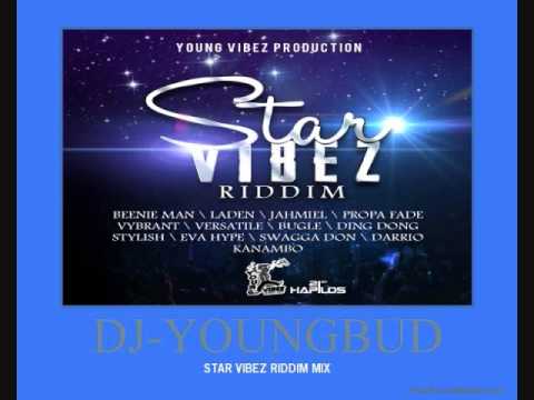STAR VIBEZ RIDDIM MIX YOUNG VIBEZ PRODUCTION MAY 2013 @DJ-YOUNGBUD