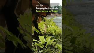 Download lagu motivasi sunda #short #shorts #sukses #bijak #shortsvidio #motivasi #inspirasi #quotes #story #sunda mp3