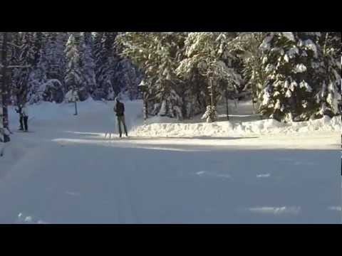 download lagu mp3 mp4 Finn Kikut, download lagu Finn Kikut gratis, unduh video klip Finn Kikut