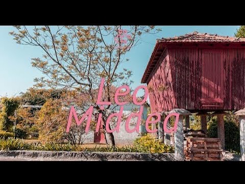 Casulo | Episódio LEO MIDDEA