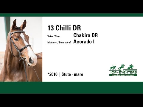 13 Chilli DR