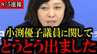 【炎上】小渕優子氏「公約だったのか疑問」発言について...【百田尚樹/有本香/島田洋一/北村晴男/日本保守党】