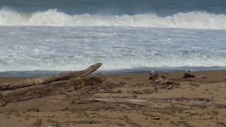 preview picture of video 'Kuala ligan beach, district Aceh jaya, province of Aceh, Indonesia(2)'