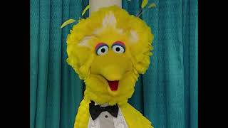 bird&#39;s can&#39;t fly