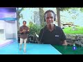 Interview Aquí La Tierra TVE The Chimpanzee Ekon From BIOPARC Valencia Faces A Crucial Phase